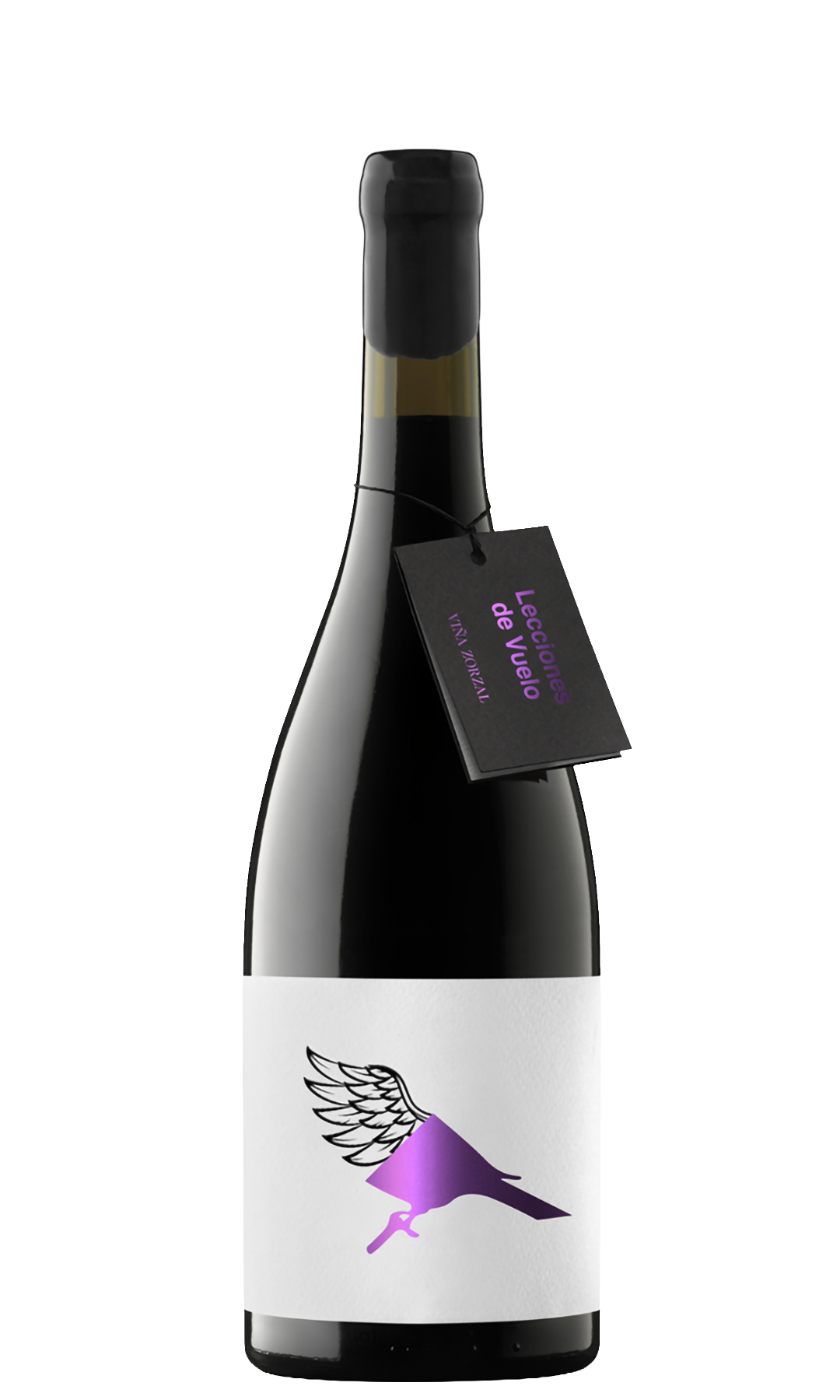 Flight Lessons by Frontonio