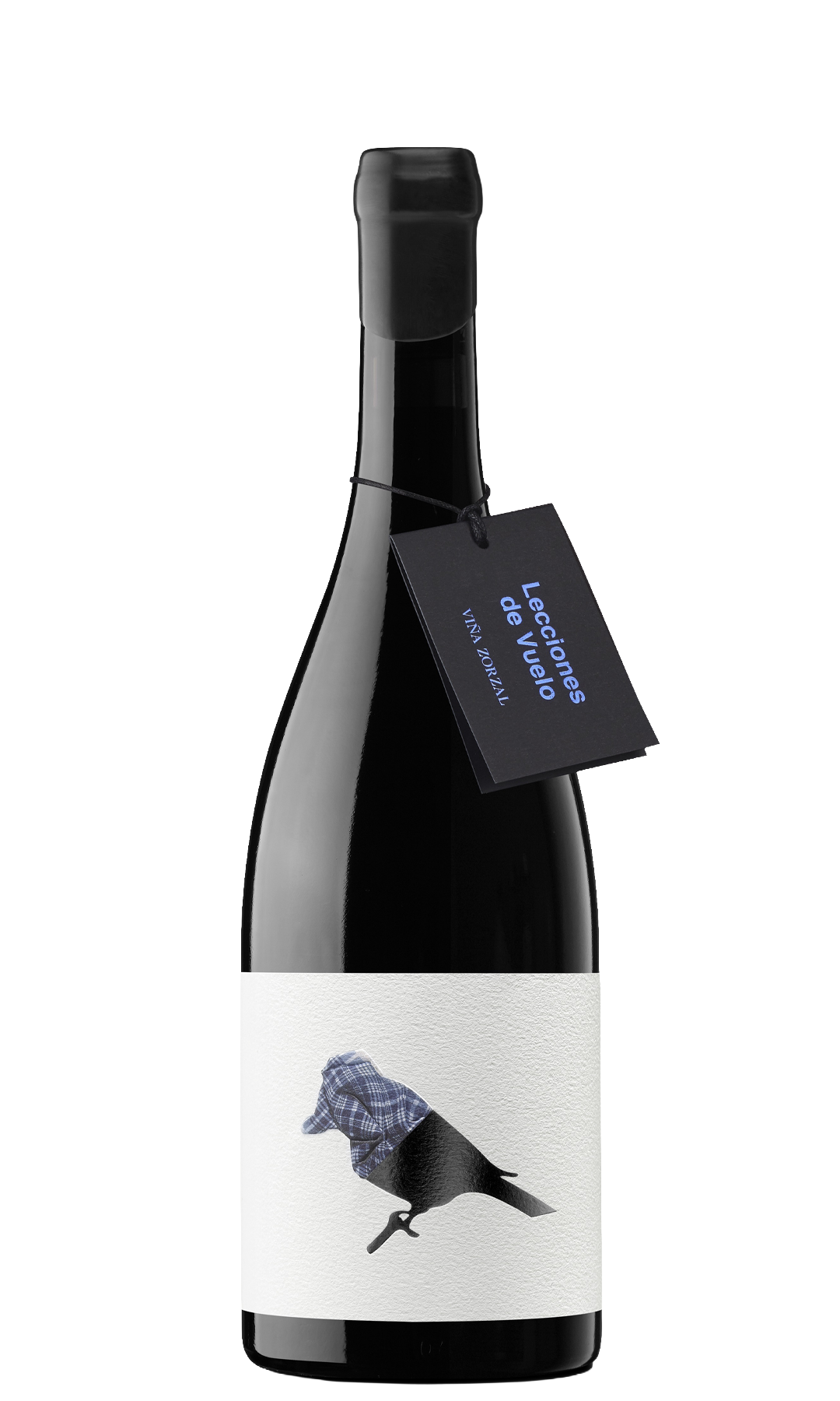 Lecciones de Vuelo by Artuke