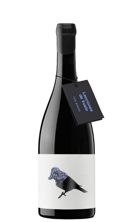 Lecciones de Vuelo by Artuke