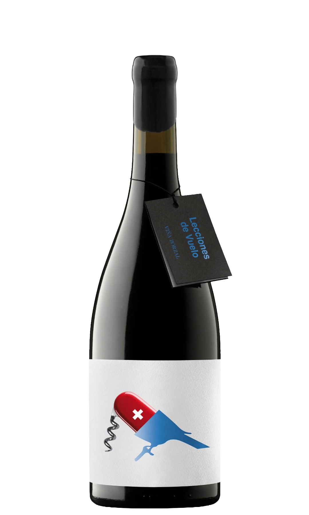 Lecciones de Vuelo by Fredi Torres