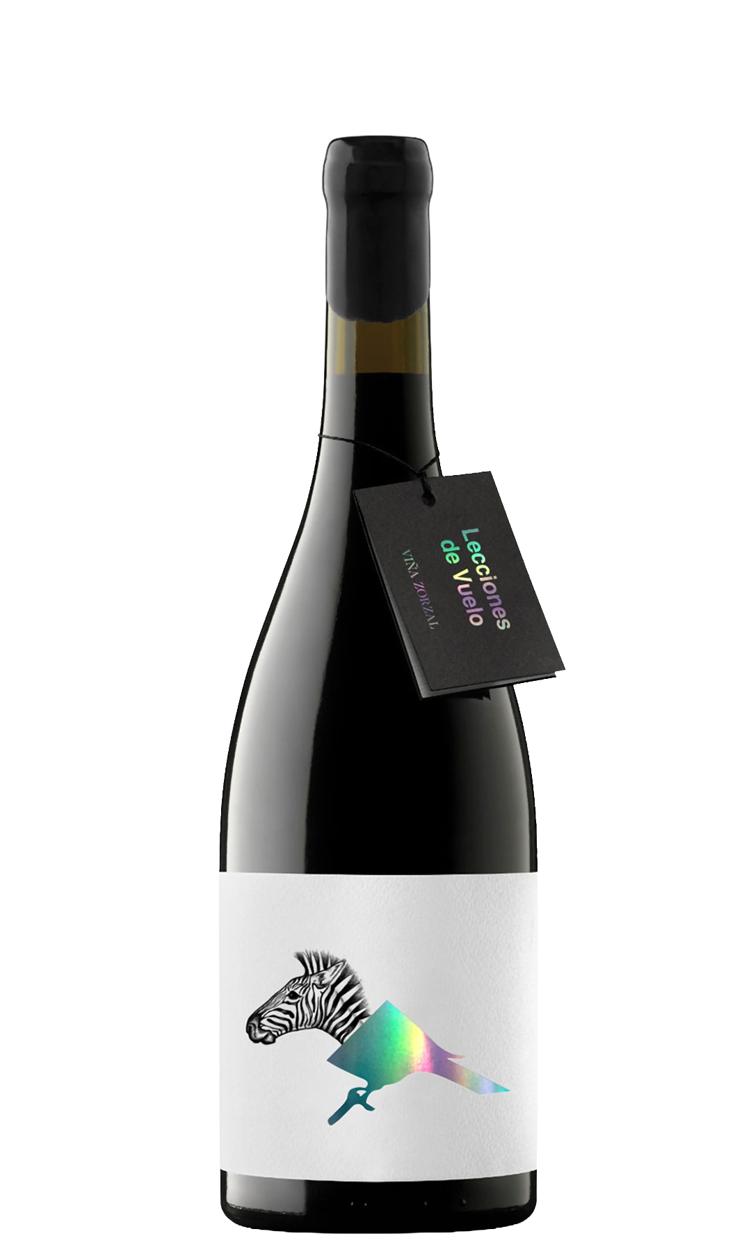 Lecciones de Vuelo by Matias Michelini