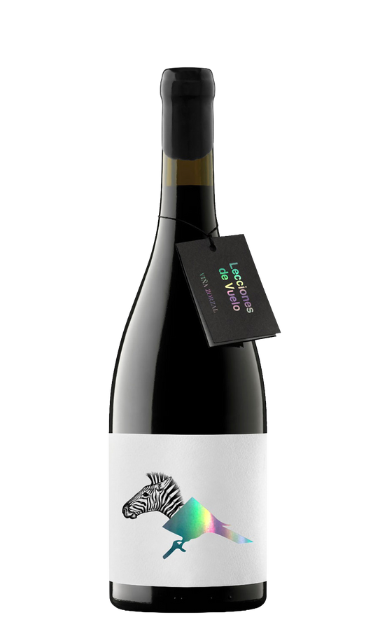 Lecciones de Vuelo by Matias Michelini