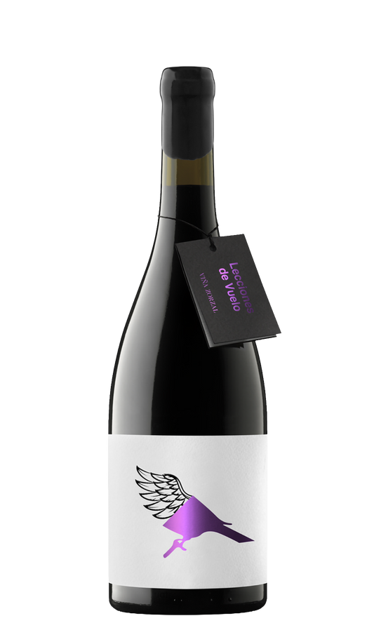 Lecciones de Vuelo by Frontonio